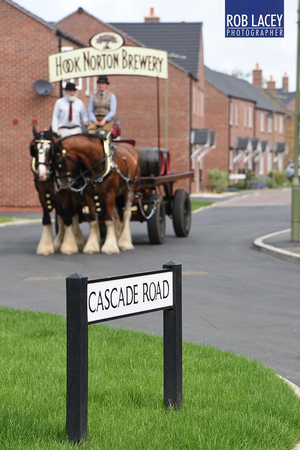 Hook Norton Shires in Cascade Road