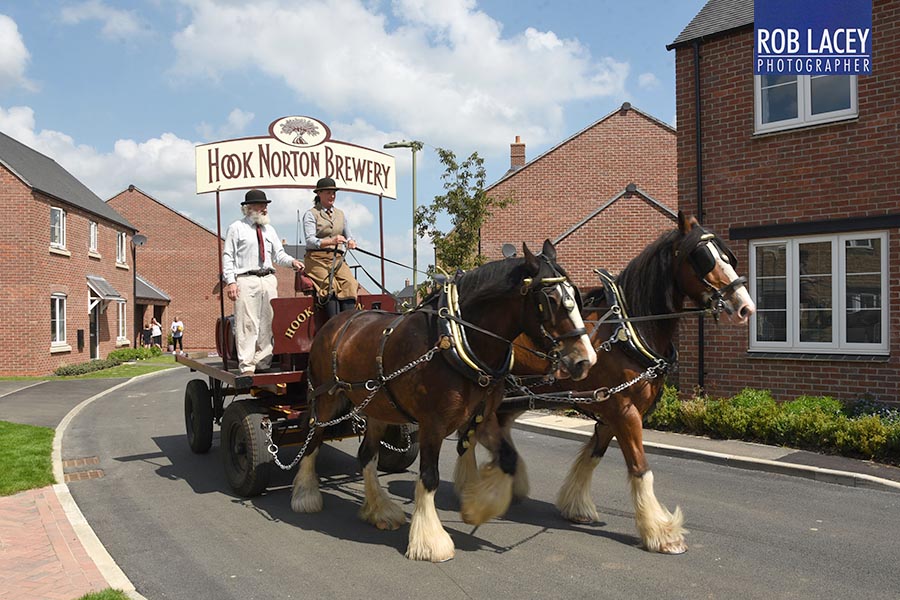 Hook Norton Shires
