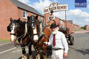 Shire Horses at Hook Norton launch