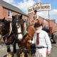 Shire Horses at Hook Norton launch