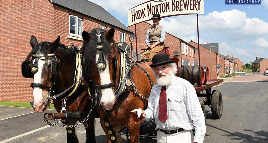Shire Horses at Hook Norton launch